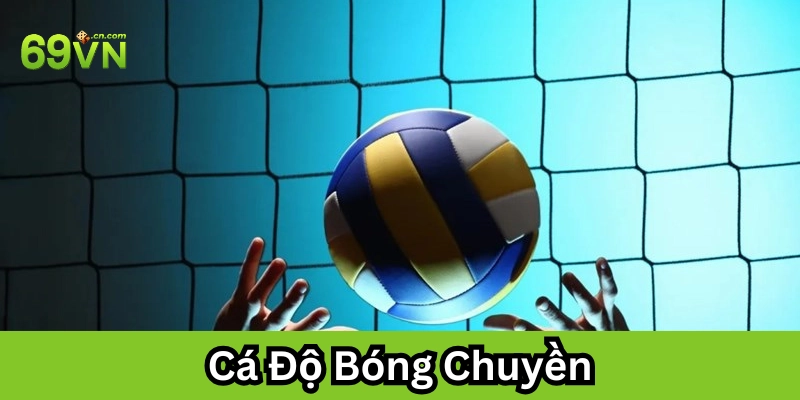 Cá Độ Bóng Chuyền là gì? 