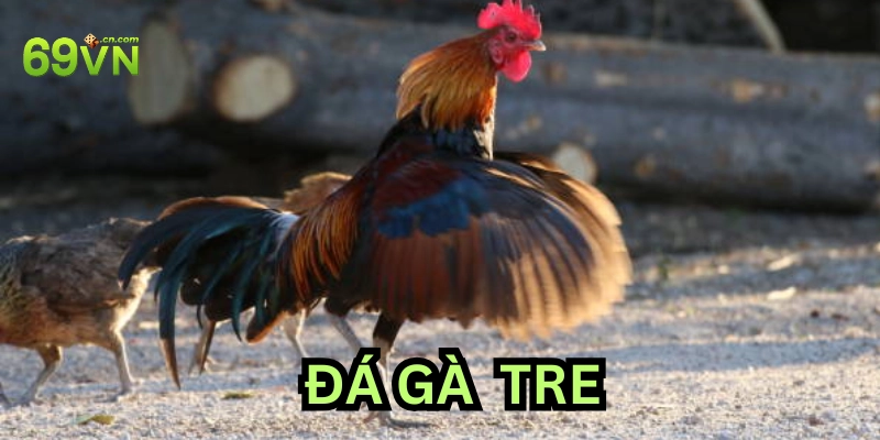 Các cách cược trong Đá Gà Tre