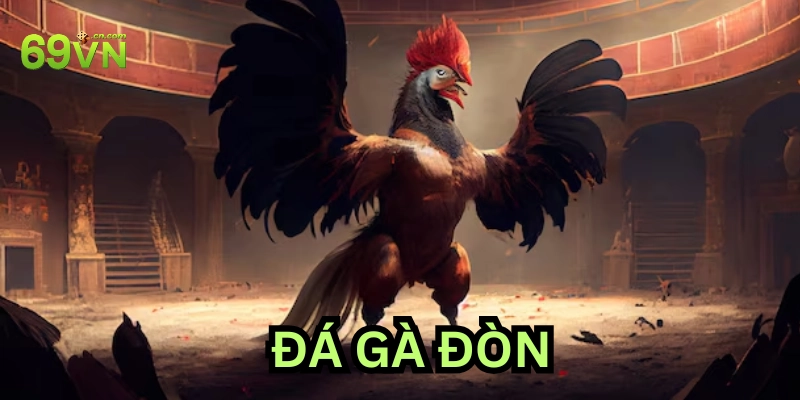 Giải thích Đá Gà Đòn