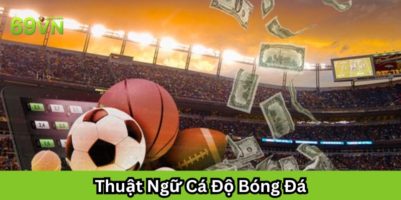 Hiểu đúng về Thuật Ngữ Cá Độ Bóng Đá