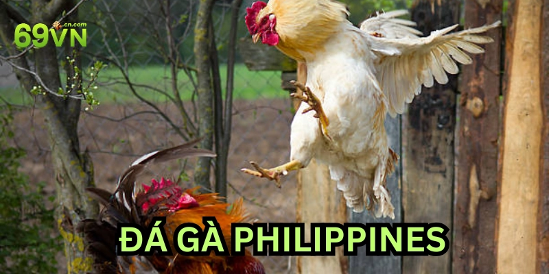 Một số lưu ý khi cược