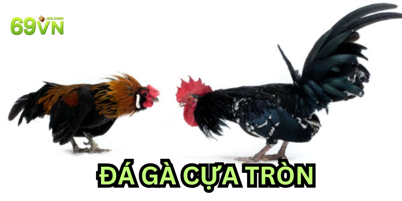 Những tâm lý khi cược