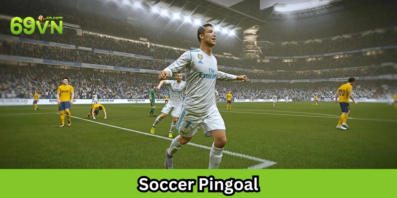Ưu điểm nổi bật Soccer Pingoal