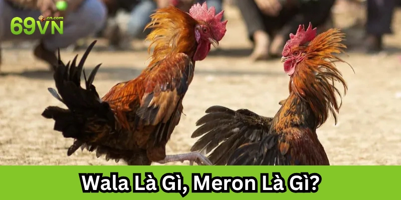 Wala Là Gì, Meron Là Gì