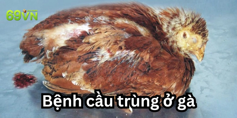 Phương pháp phòng ngừa