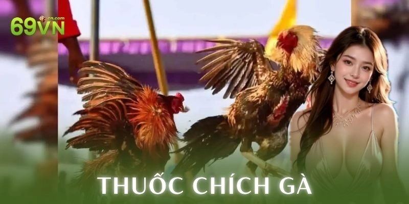 Các loại thuốc chích gà phổ biến