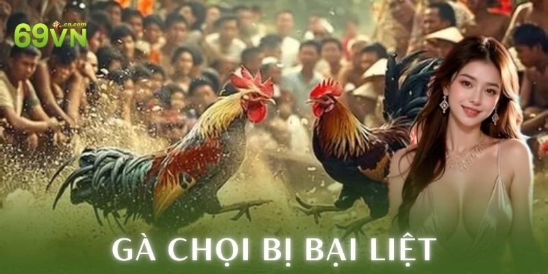 Cách xử lý gà chọi bị bại liệt
