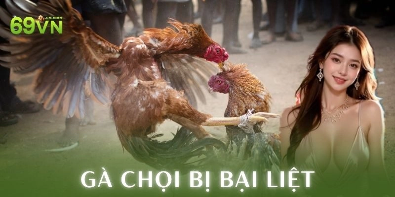 Gà chọi bị bại liệt và bí kíp cứu chiến kê nhanh chóng