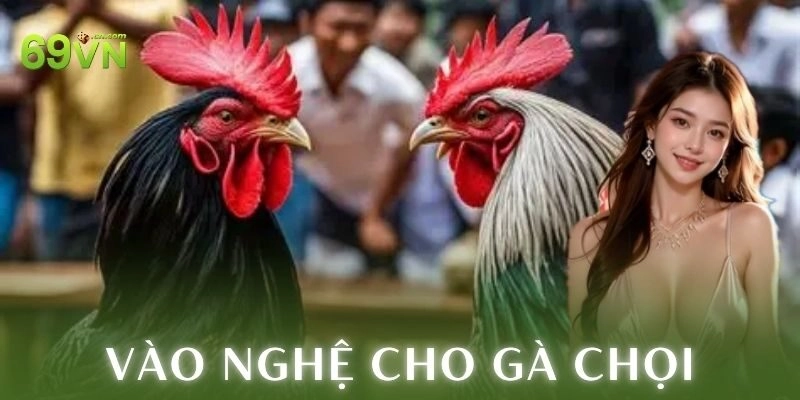 Lưu ý quan trọng khi vào nghệ