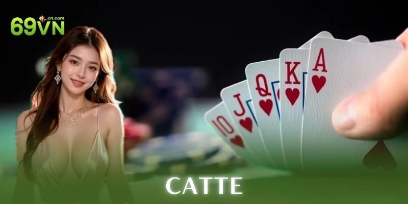 Mẹo chơi catte hiệu quả
