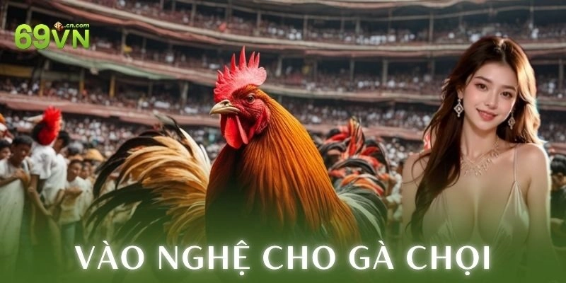 Nguyên liệu và dụng cụ cần chuẩn bị