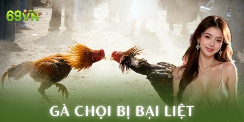 Nguyên nhân gà chọi bị bại liệt