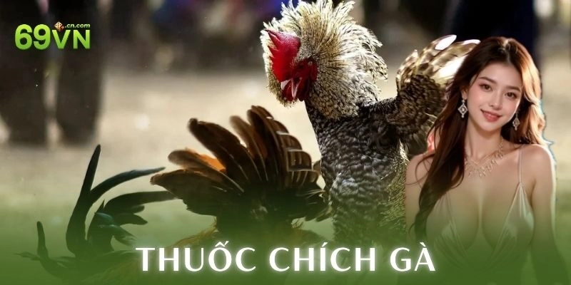 Thuốc chích gà: Cách nâng cao sức chiến kê đỉnh nóc