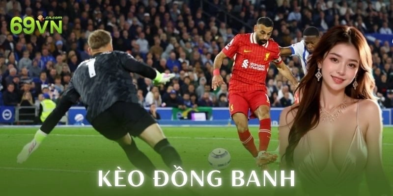 Ưu điểm và hạn chế