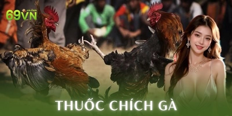 Ví dụ cách chơi thuốc chích gà thực tế
